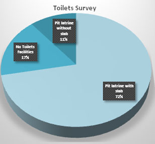 sanitation survey