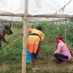 COVID-19 challenges among farmers in Nepal