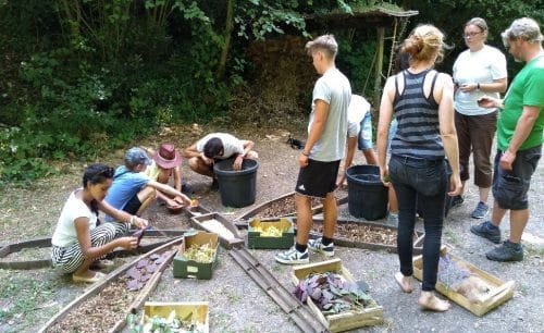 Why volunteer with VIN