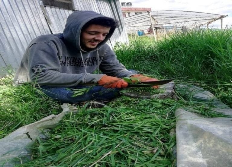 Women motivation for compost manure production Volunteers Initiative