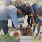 Bee keeping, Training, empowerment