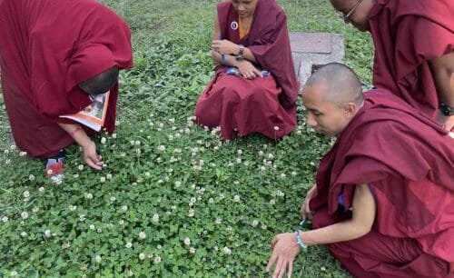 How to Join a Buddhist Monastery