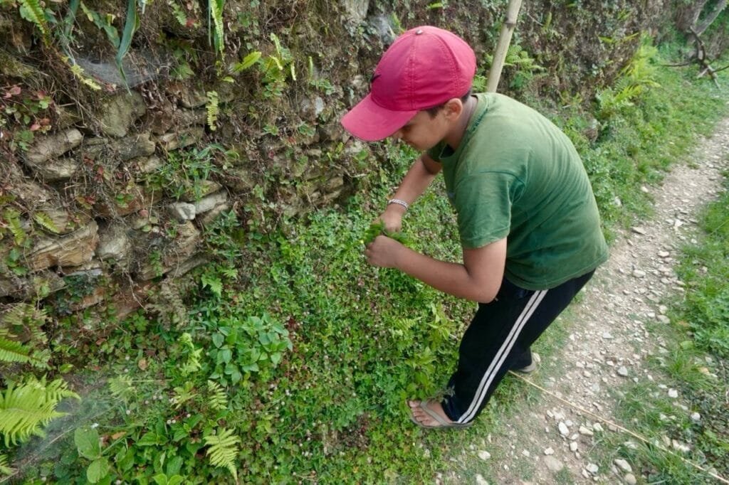 Rajdeep Katwal working